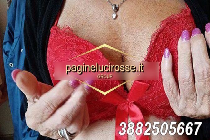 escort cerca uomo per sesso Torino Barriera di Milano - ITALIANA - 3882505667