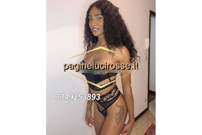 incontri per sesso Belluno  - ZARA DIOR TRANS - 3349253893