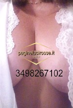 escort cerca uomo per sesso Macerata