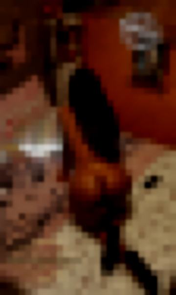 Preview foto hot riservata